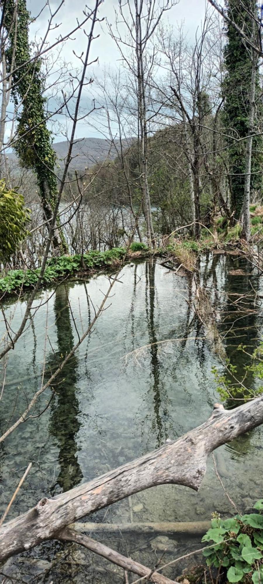 Appartamento Tisa Self Check In Plitvička Jezera Esterno foto